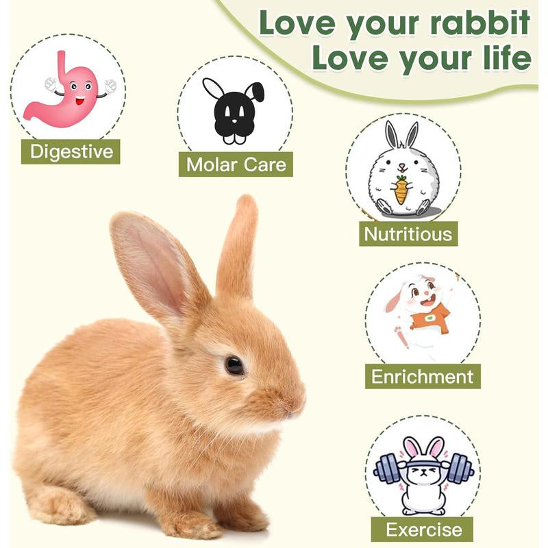 Jorewood Rabbit Chew Toys, Natural Reed Grass Hanging Basket Chews, Woven Bunny Chewing Timothy Cake Wood Treats for Small Pets