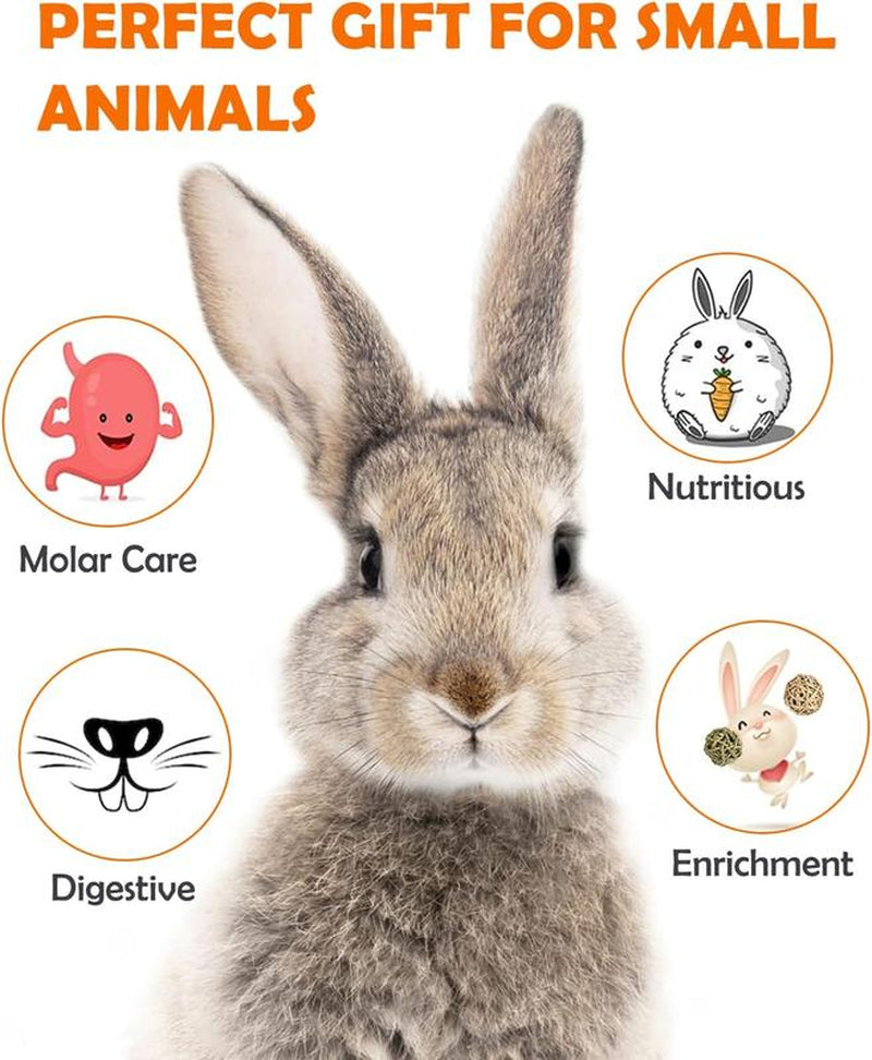 EVERBETTERUS Timothy Hay Treats Natural Chews for Teeth Handmade Rabbit, Chinchilla, Gerbil, Rat, Hamster Toys Bunny & Guinea Pig Toys, 12Pcs