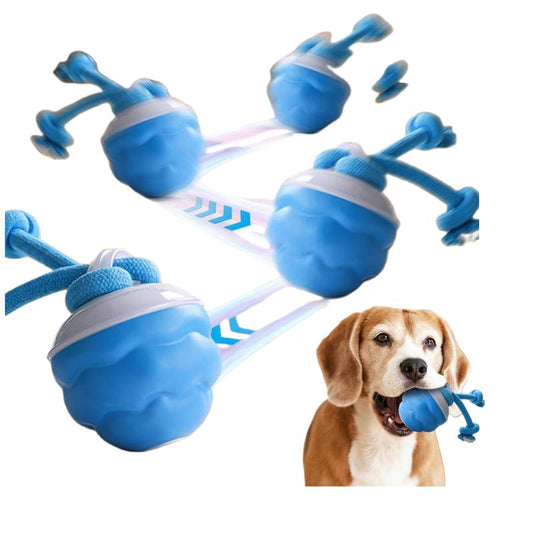 Interactive Dog Toys with Motion Activated, Squeaky Dog Toy Active Rolling Ball, Ball for Daily Training,Used for Cats and Dogs, Pet Accessories, Cute Pet Toys(2.95*2.95*4.33Inch)