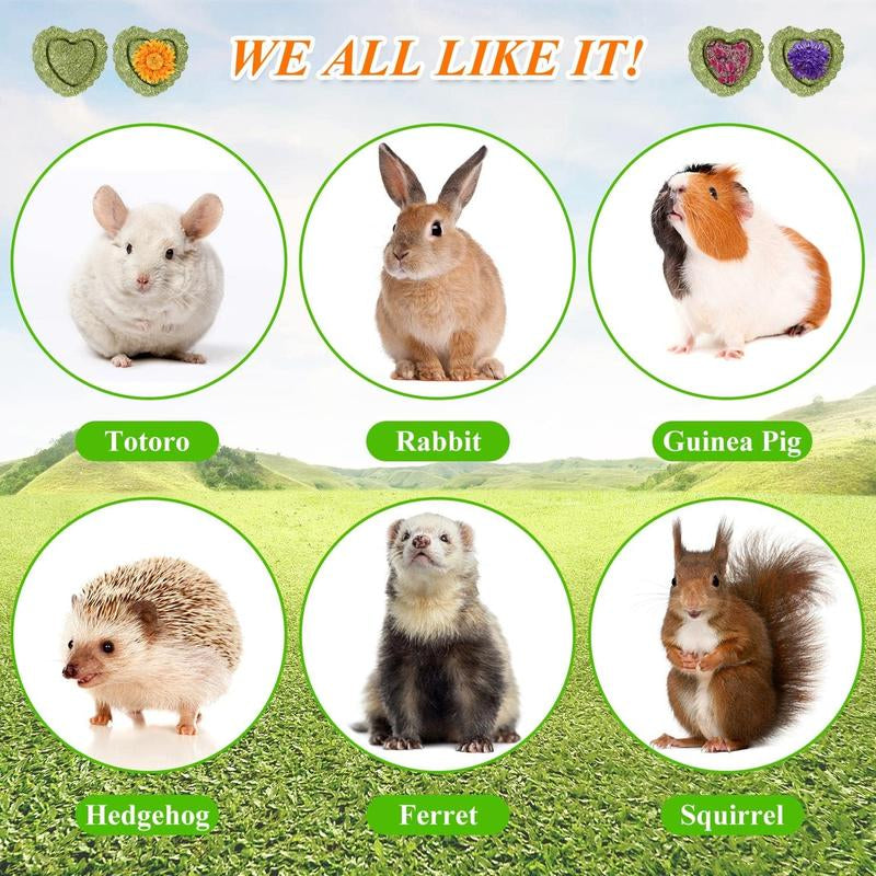 EVERBETTERUS Timothy Hay Treats Natural Chews for Teeth Handmade Rabbit, Chinchilla, Gerbil, Rat, Hamster Toys Bunny & Guinea Pig Toys, 12Pcs