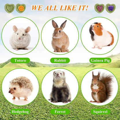 EVERBETTERUS Timothy Hay Treats Natural Chews for Teeth Handmade Rabbit, Chinchilla, Gerbil, Rat, Hamster Toys Bunny & Guinea Pig Toys, 12Pcs
