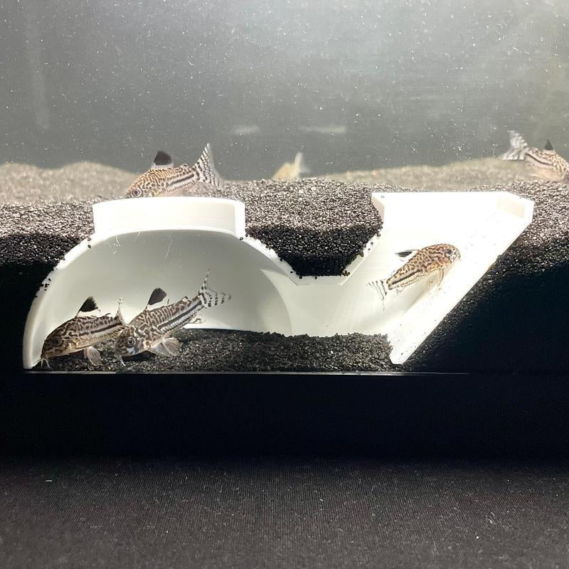 Aquarium Underground Tunnel Dome, Kuhli Loach Dojo Loach Corydoras Catfish Clown Loach Dwarf Frog Hideout
