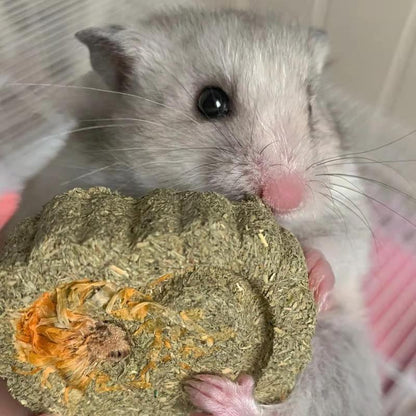 EVERBETTERUS Timothy Hay Treats Natural Chews for Teeth Handmade Rabbit, Chinchilla, Gerbil, Rat, Hamster Toys Bunny & Guinea Pig Toys, 12Pcs